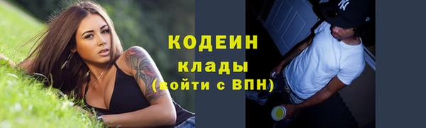мдпв Каменногорск
