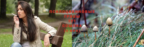 прущая мука Абаза