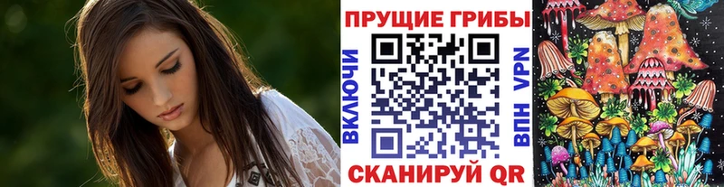 Псилоцибиновые грибы ЛСД Циолковский