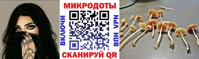 Галлюциногенные грибы ЛСД  Циолковский 